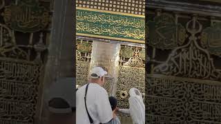 Salam to Prophet Muhammad ﷺ at RawdaeMubarak  A Sacred Moment in Masjid alNabawi shorts [upl. by Tabina]