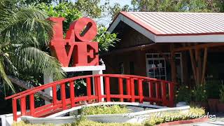 La Madre Boutique Resort Tolosa Leyte [upl. by Lajet]