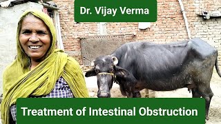 Treatment of Intestinal Obstruction Dr Vijay Verma [upl. by Drapehs]