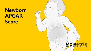 Newborn APGAR Score [upl. by Leverick]