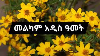 🔆2017🔴 Addis amet mezure Abebayewoshi mezmur colection orthodox Mezmur amet mezmur Addisamet [upl. by Hutchings]