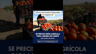 Oferta de Empleo Disponible en España agricultura empleo jobs trabajo agricultores newjobs [upl. by Nnylharas]