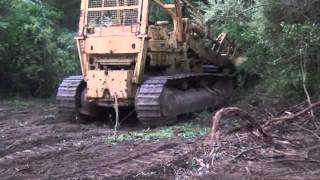 Caterpillar 983 clearing brush [upl. by Llireva]