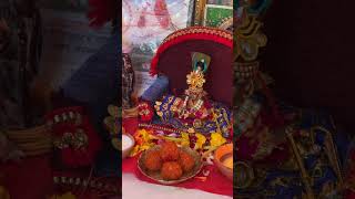 Laddu gopal  trendingshorts [upl. by Susan709]