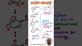 What is MORE basic Aniline vs a simple Amine chemistry organicchemistry [upl. by Lebbie]