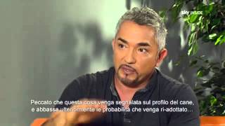 Cesar Millan  Il Capobranco sei Tu [upl. by Galatia]