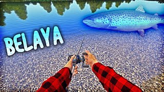 GRAYLING amp BROWN TROUT ULTRA FISHING  Russian Fishing 4 Belaya River [upl. by Alana586]