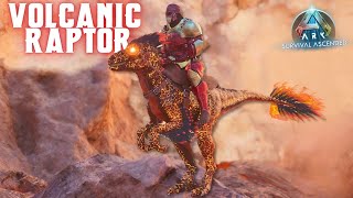 TAMING the VOLCANIC RAPTOR 🔥 in Primal Fear Chaos  Ark Survival Ascended 12 [upl. by Suirtemed]