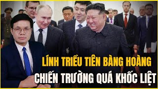 Thương Vong Hơn 1000 Người Mỗi Ngày Lính Triều Tiên Sợ Vỡ Mật Vì Chiến Trường Khốc Liệt [upl. by Herv218]