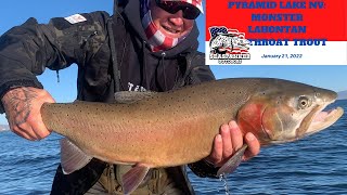 Pyramid Lake NV Monster Lahontan Cutthroat Trout [upl. by Assenov]