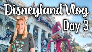 Spend the Day at Disneyland Vlog Day 3 [upl. by Eytteb]