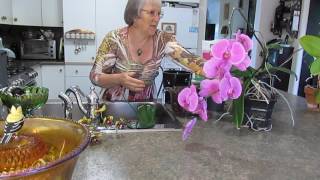 jacolyns orchids 5 repotting and watering [upl. by Kin]