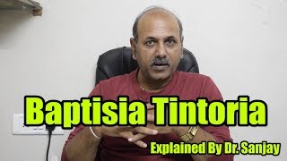 Baptisia Tintoria Explained By Dr Sanjay [upl. by Nirtiak109]