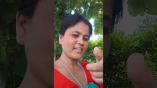 Jindagi he tujhse bollywood song hindisong 🥰🌹🥰🌹🌹🥰🥰🌹🌹🥰🌹🌹 [upl. by Satterlee]