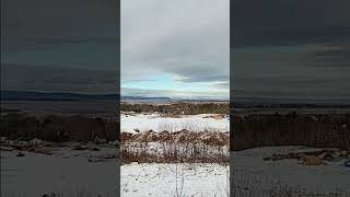 LookOff at Reservoir Park Wolfville NS Jan 22 2024 [upl. by Nevaed352]