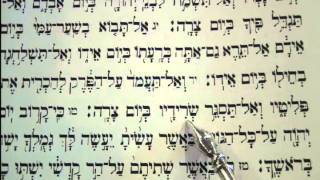 Haftorah Haftarah Reading Vayishlach Rabbi Weisblum קריאת הפטרה וישלח [upl. by Malinde178]