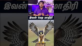 இவன் வேற மாதிரிtamilguru tamilinformation naveenbharathi [upl. by Iam]