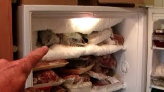 Freezer Frost Repair [upl. by Abraham]