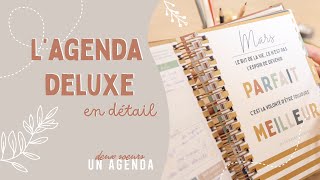 LAgenda parfait pour vous organiser au quotidien  Deux Soeurs Un Agenda [upl. by Aralk]