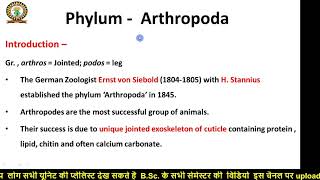 Phylum Arthropoda  general character bsc 5th semester zoology [upl. by Judith]