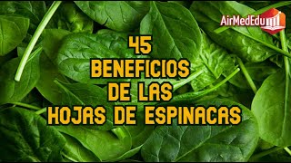 45 Beneficios de las Hojas de Espinacas [upl. by Ailemac]