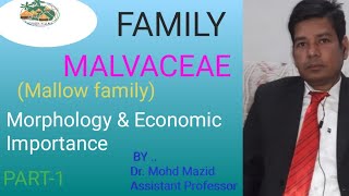 Family Malvaceae MallowsTaxonomic Description Floral Formula and Floral Diagram [upl. by Lammond]