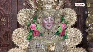 Peregrinación de la Hdad Del Rocío de Córdoba El Simpecado Blanco y Oro ante la Virgen del Rocío [upl. by Enaitsirhc]