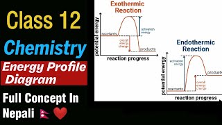 Class12 Energy Profile Diagram Full Concept In Nepali Chemistry Neb12 [upl. by Aenal737]