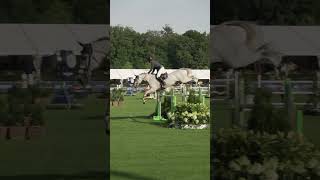 Horses are just amazing🤩 showjumping [upl. by Ermine]