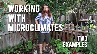 Working With Microclimates  Two Examples [upl. by Yenot]