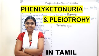 Phenylketonuria  In Tamil  Class 12  Principles Of Inheritance amp Variations [upl. by Sokim444]