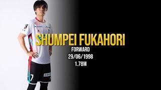 Shumpei Fukahori  Iwate Grulla Morioka 2024 [upl. by Anialram]