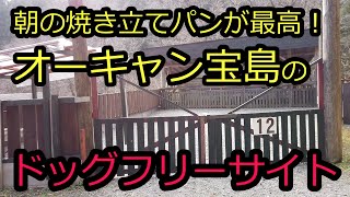 【オーキャン宝島】自然を満喫できるドッグフリーサイトでソロキャンプ！尚仁沢湧水すぐそば！チャムスのツールームテントでもゆったり！村の鍛冶屋のホットサンドメーカーで広島風お好み焼きも作ります！ [upl. by Yelrac610]