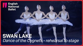 Swan Lake Cygnets from rehearsal to stage extract  English National Ballet [upl. by Lienet334]