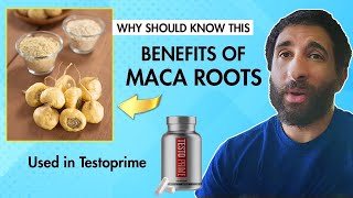 Maca Root and Its Benefits — Men Watch This Video [upl. by Krause]