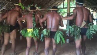 Dança Indígena  Ritual Amazônico [upl. by Samohtnhoj]