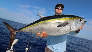 GIANT Tuna On LIVE BAIT Insane Day Offshore [upl. by Ennovehc]