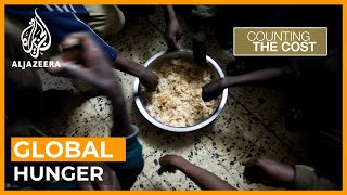 How can global hunger be reduced  Counting the Cost [upl. by Vanderhoek981]