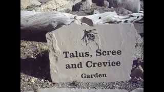 Talus Scree and Crevice garden on Mount Goliath Colorado [upl. by Ettevol]