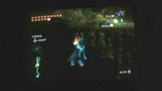 The Legend of Zelda Twilight Princess Guide to all 60 poes part 2 [upl. by Weirick40]