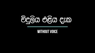 Viduliya Eliya Daka විදුලිය එළිය දැක  Without Voice [upl. by Alrats]