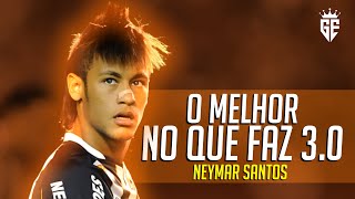 Neymar Jr • O Melhor no Que Faz 30  Santos Skills amp Goals  HD [upl. by Gmur]