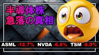 【米国株】半導体株が急落！原因を詳細分析。パニック不要、生成AIストーリーに異常なし。おすすめは慎重な対応。 [upl. by Mellisent]