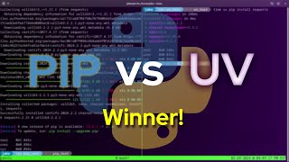 PIP vs UV The Rematch and More [upl. by Daigle]