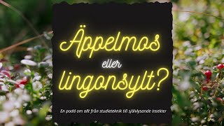 Äppelmos eller lingonsylt  avsnitt ett studieteknik [upl. by Akimrej]