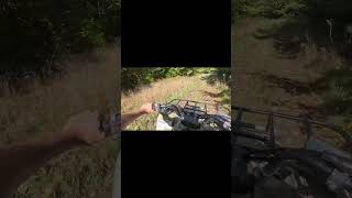 Bear tracker 250 engine ASMR atv offroad yamaha 250cc quad [upl. by Venn]