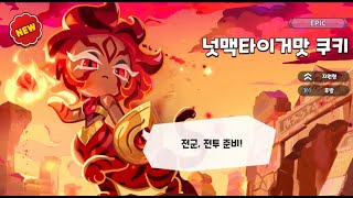 쿠킹덤 넛맥타이거맛 쿠키 토핑 정보 [upl. by Montanez]