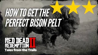 🗣 Red Dead Redemption 2 How to get the Perfect Bison Pelt  Female Voice Guide  Location [upl. by Carmena]