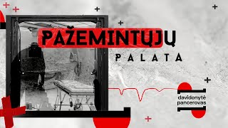 Pažemintųjų palata  Davidonytė  Pancerovas  Laisvės TV tyrimas [upl. by Ideih]