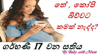 17th Week Pregnancy amp Baby Development දාහත්වන සතියගර්භණී අවධිය හා දරුවාගේ වර්ධනයby Baby with Mum [upl. by Nasaj]